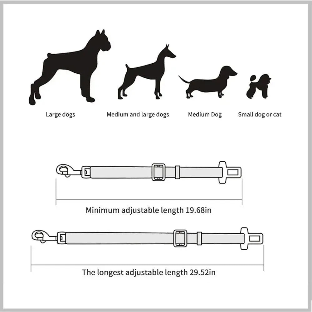 Ceinture de Sécurité Voiture Réglable pour Chien