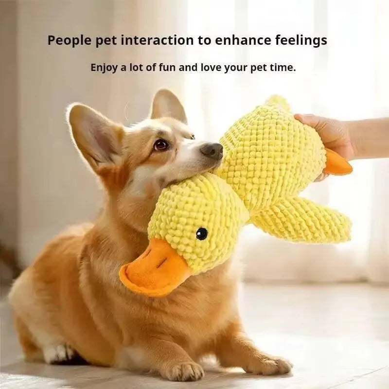 Jouet à Mâcher Indestructible pour Chien et Chat