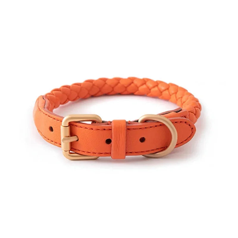 Collier en Cuir Fashion pour Chien Moyen