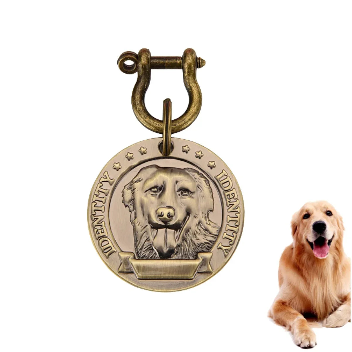 Médaille d'Identification Gravée pour Chien et Chat - Plaque Bronze Personnalisée