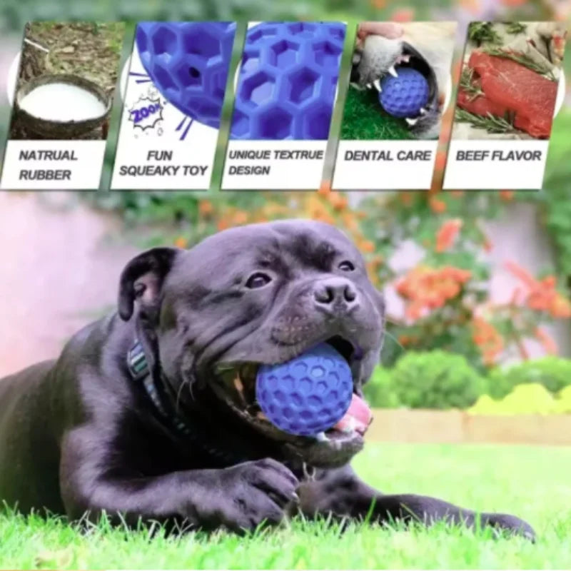 Balle à Mâcher Indestructible en Caoutchouc pour Chien
