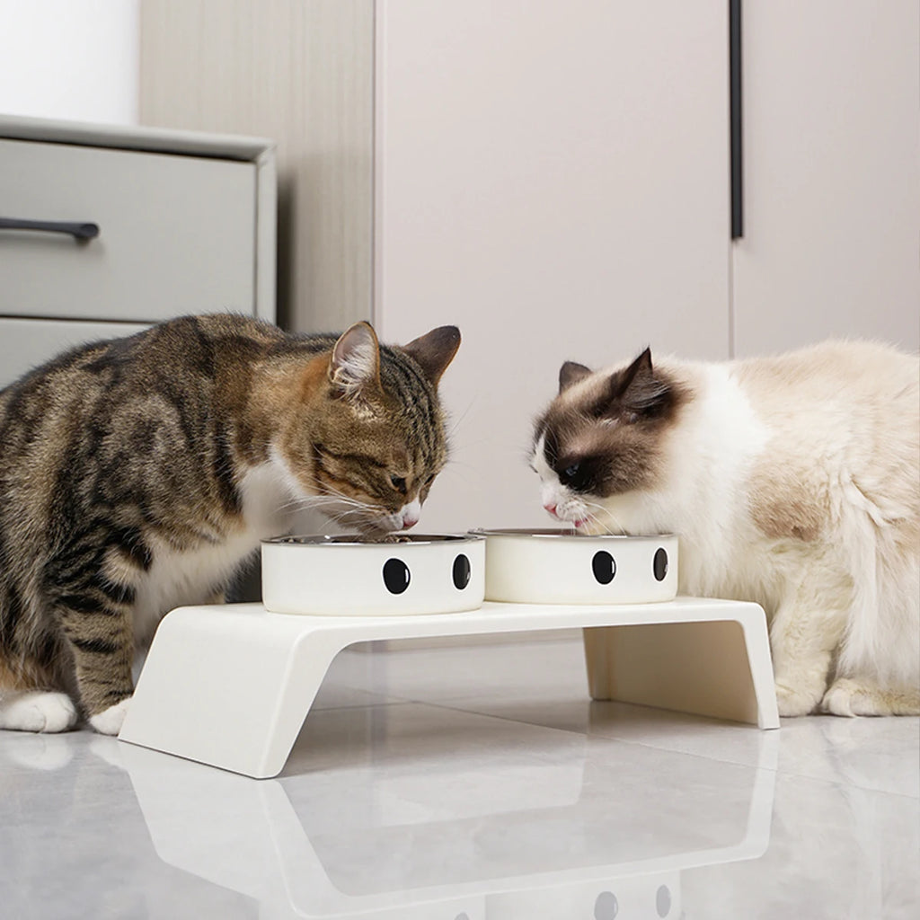 Gamelles Surélevées pour Chien et Chat