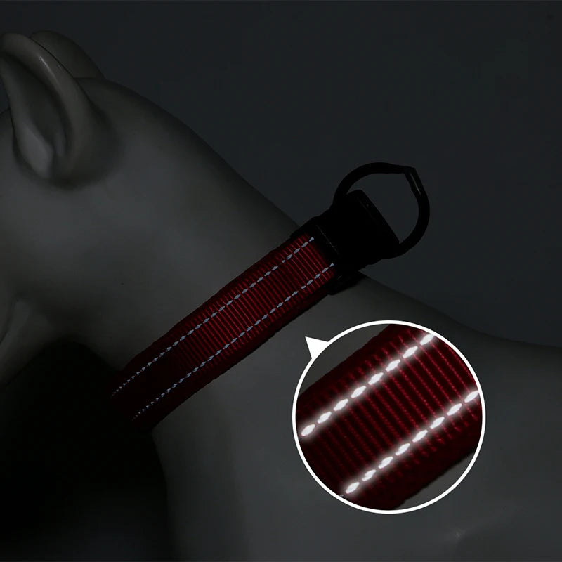 Collier Réfléchissant Ajustable pour Chien
