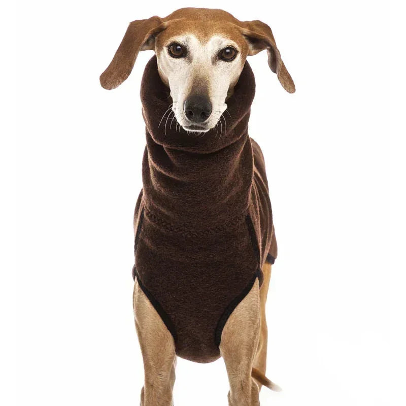 Pull Col Roulé Chaud pour Chien