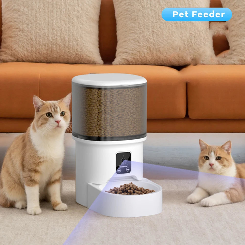 Distributeur Croquettes et Fontaine Connectés Chien Chat