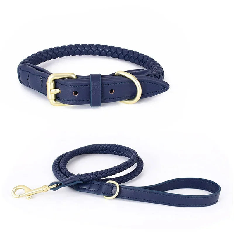 Collier en Cuir Fashion pour Chien Moyen