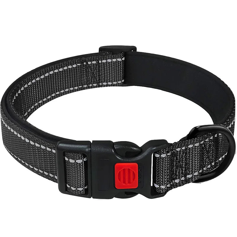 Collier Réfléchissant Néoprène pour Chien