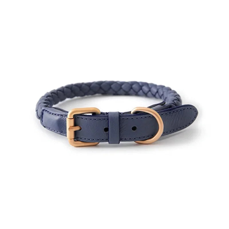 Collier en Cuir Fashion pour Chien Moyen