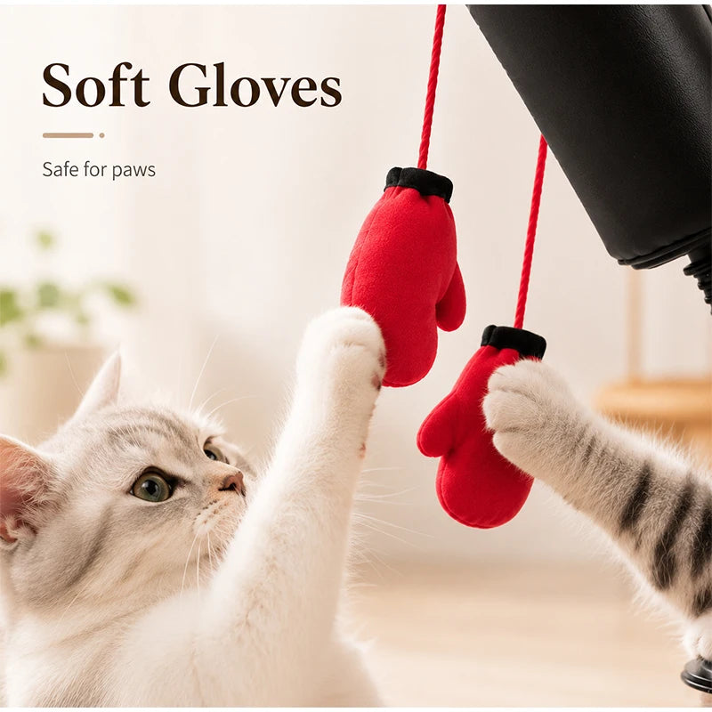 Jouet Boxe Interactif pour Chat