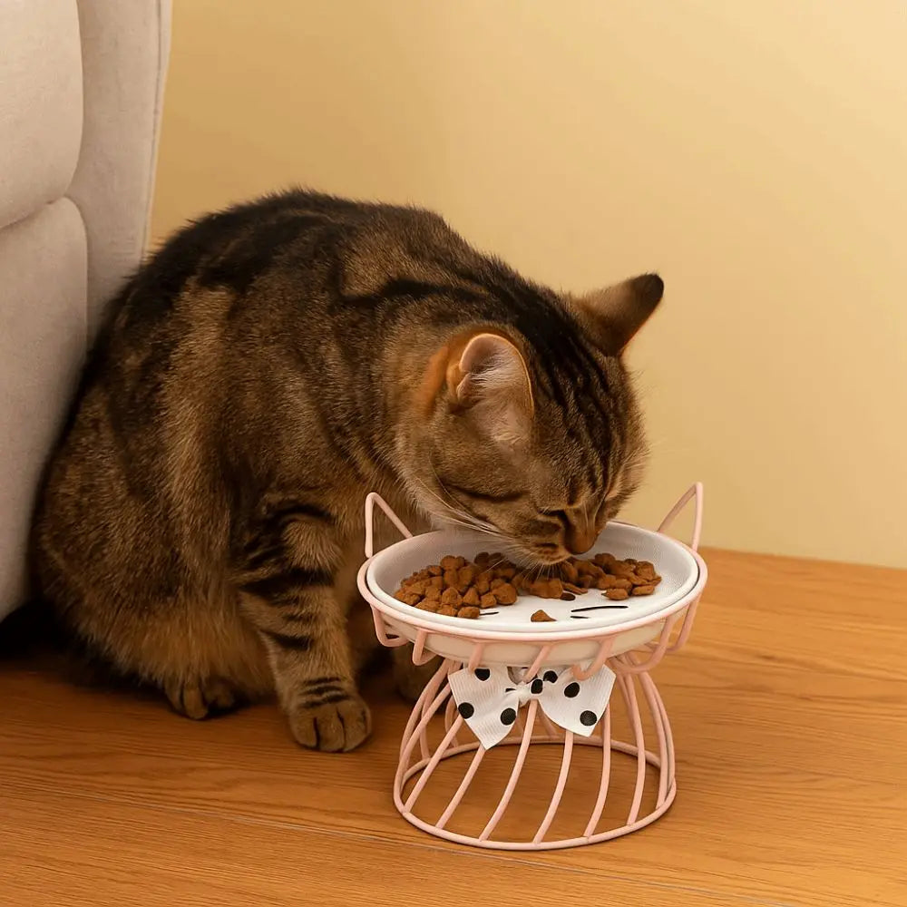 Gamelle Céramique Surélevée Antidérapante pour Chat et Chien