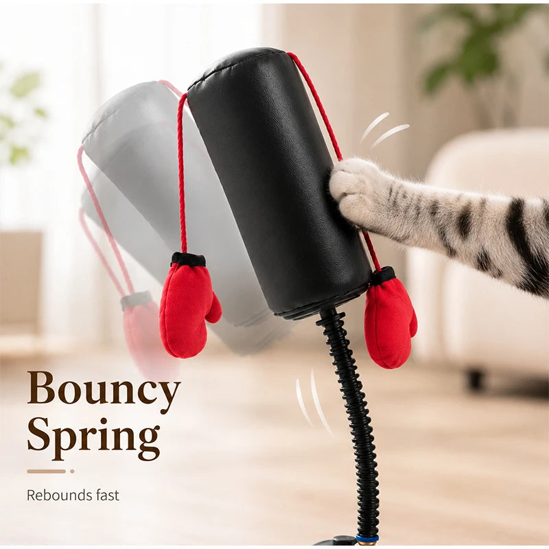 Jouet Boxe Interactif pour Chat