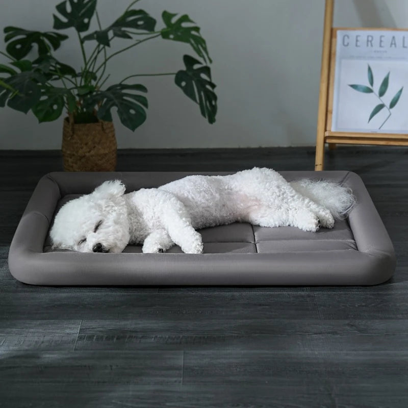 Coussin Confort Toutes Saisons pour Chien