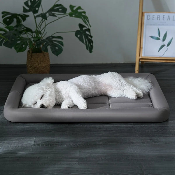 Coussin Confort Toutes Saisons pour Chien
