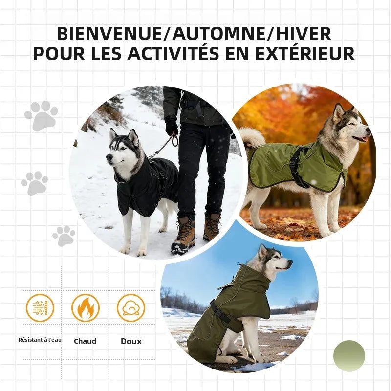 Manteau de Pluie Coupe-Vent pour Chien - Bandes Réfléchissantes
