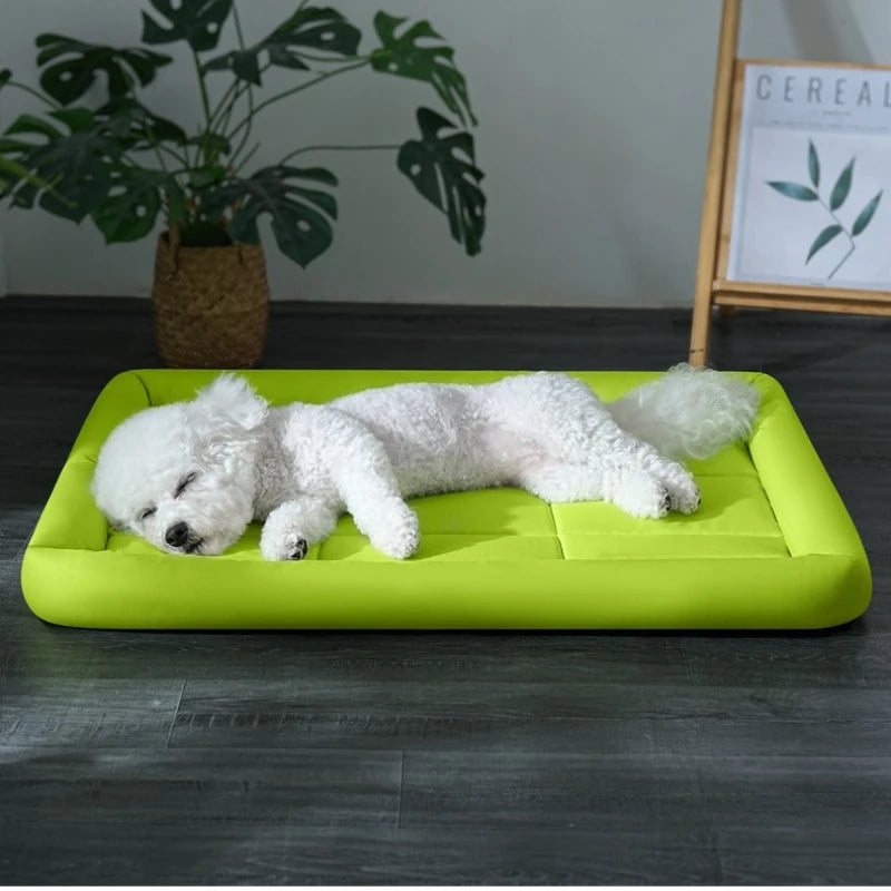 Coussin Confort Toutes Saisons pour Chien