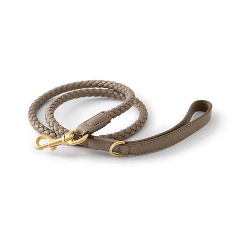 Collier en Cuir Fashion pour Chien Moyen