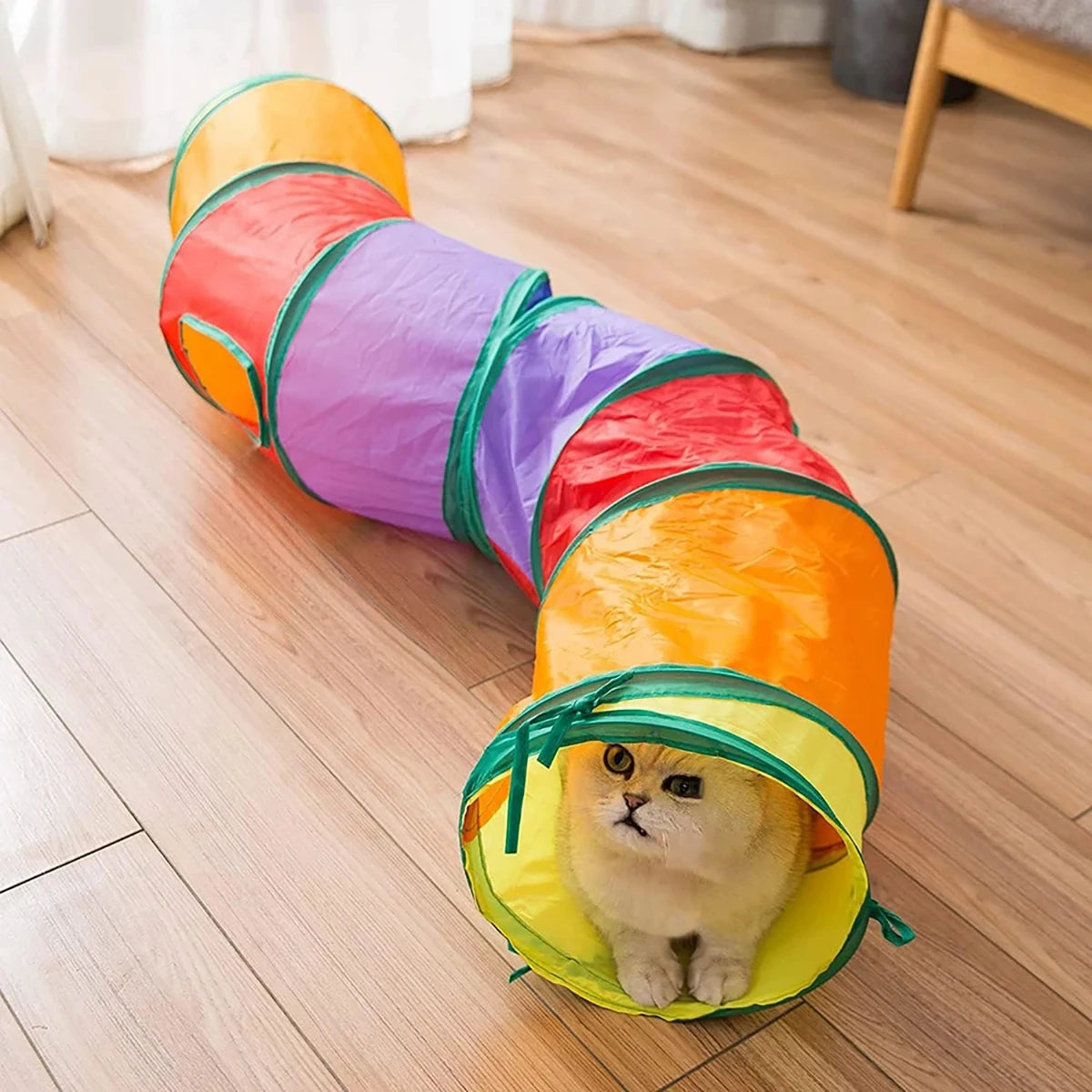 Tube Tunnel Pliable d'Entraînement pour Chat