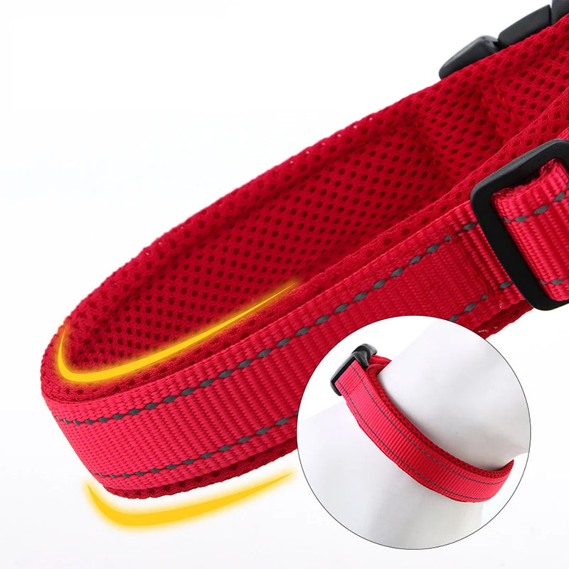 Collier Réfléchissant Ajustable pour Chien