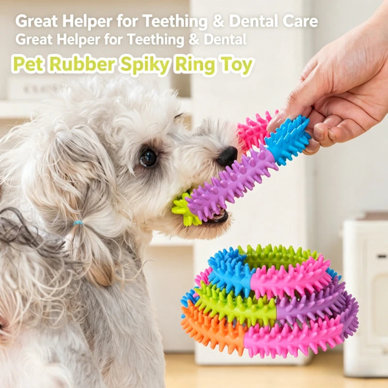 Jouet Frisbee Anneau à Picots Nettoyage Dentaire pour Chien