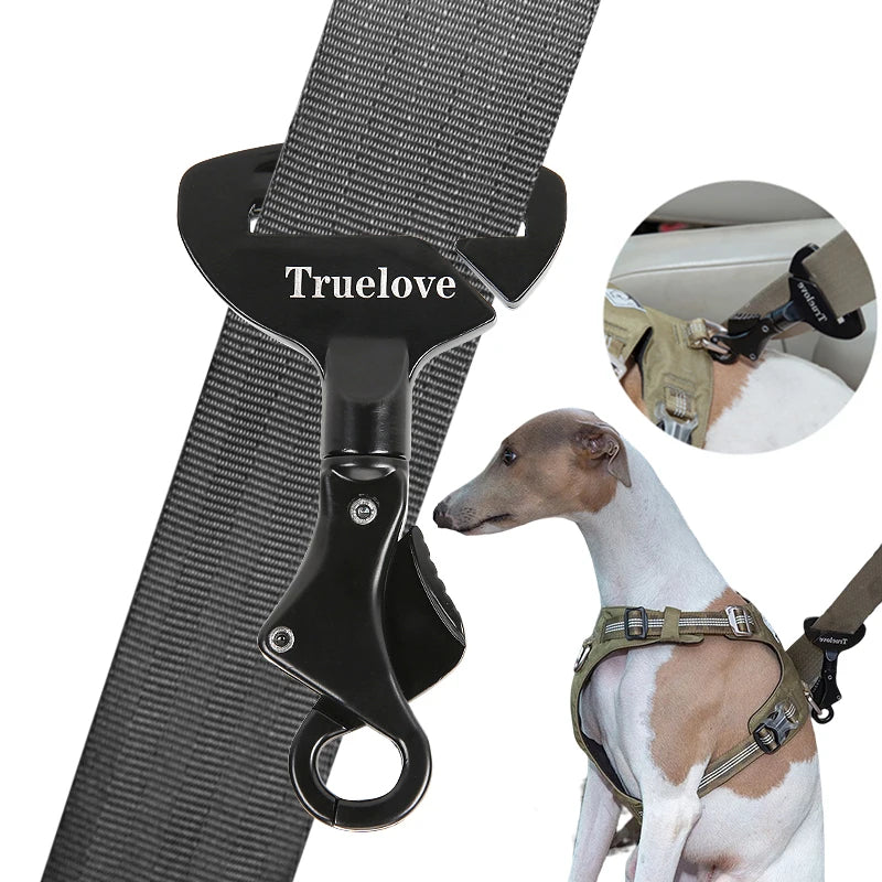 Ceinture de Sécurité Voiture Universelle pour Chien