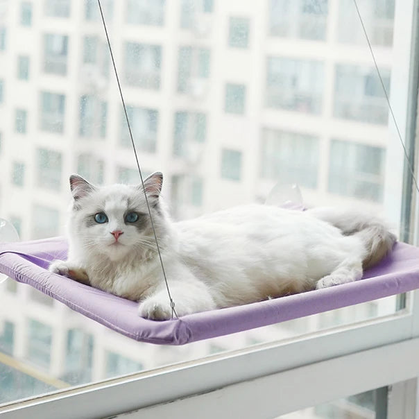 Hamac Suspendu pour Chat avec Ventouse - Lavable