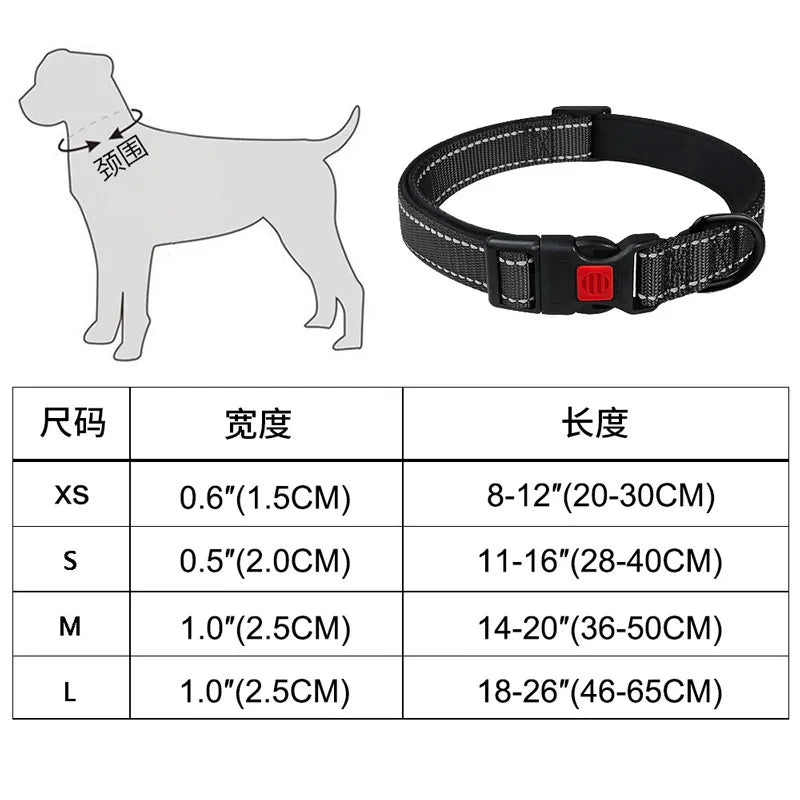 Collier Réfléchissant Néoprène pour Chien