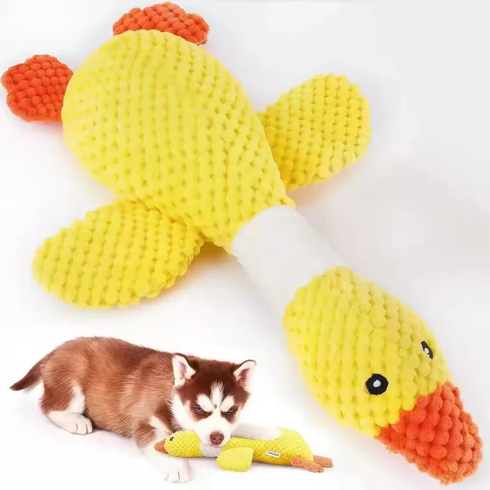 Jouet à Mâcher Indestructible pour Chien et Chat