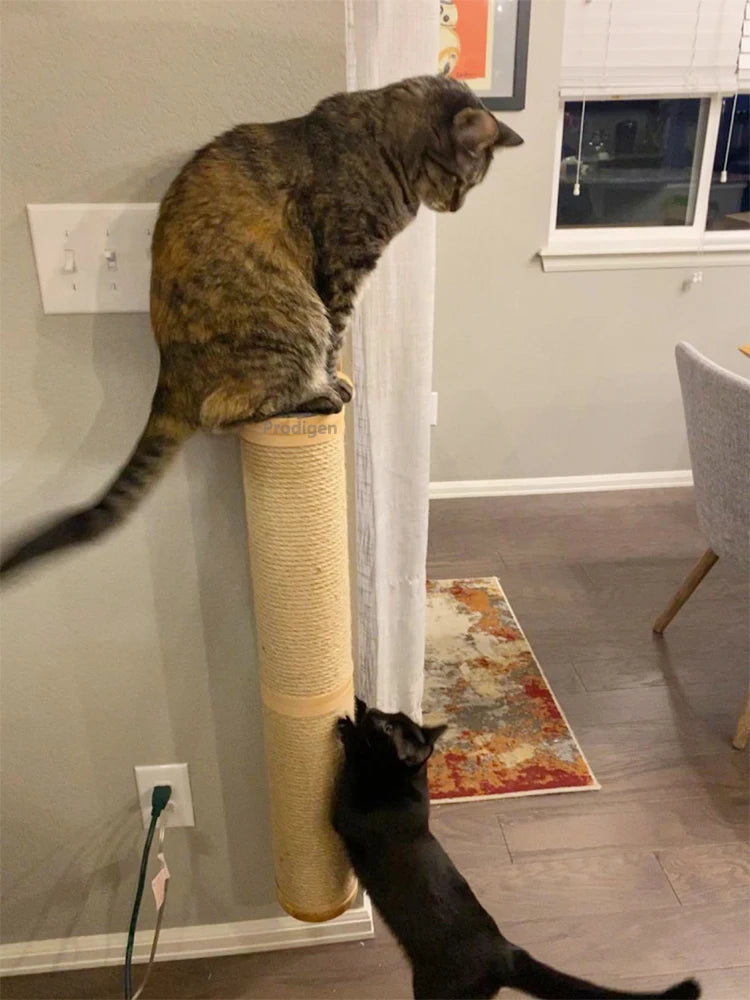 Griffoir Mural en Bois pour Chat - Arbre à Chat Multi-Fonctions