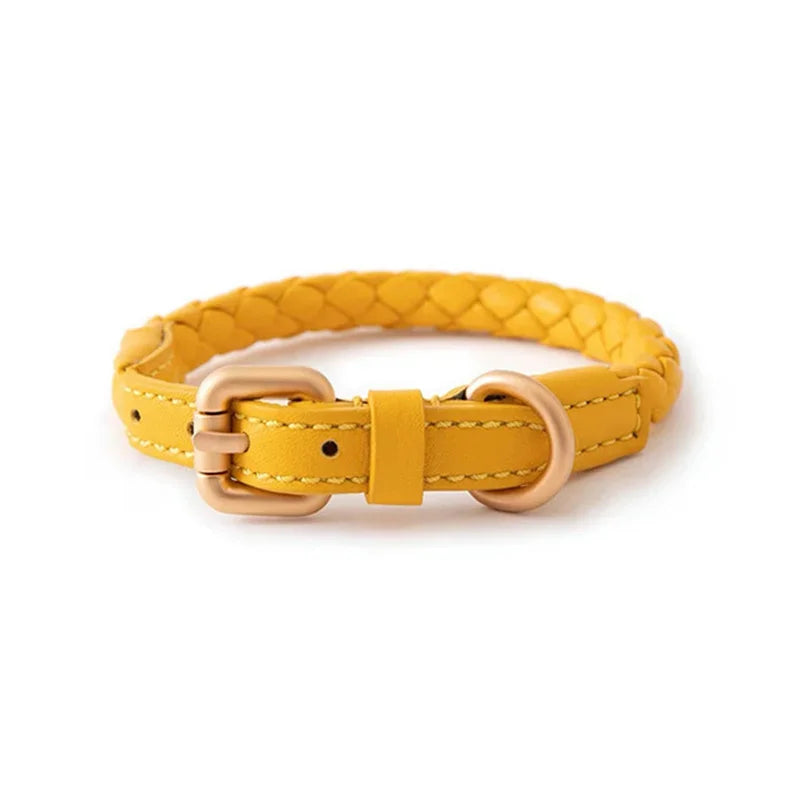 Collier en Cuir Fashion pour Chien Moyen