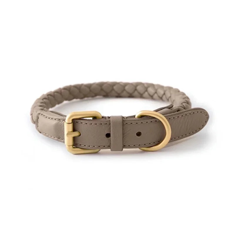 Collier en Cuir Fashion pour Chien Moyen
