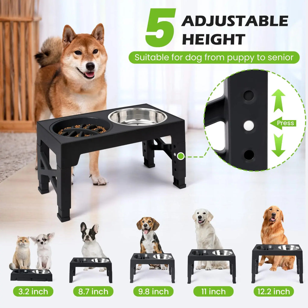 Gamelles Surélevées Ajustables pour Chien