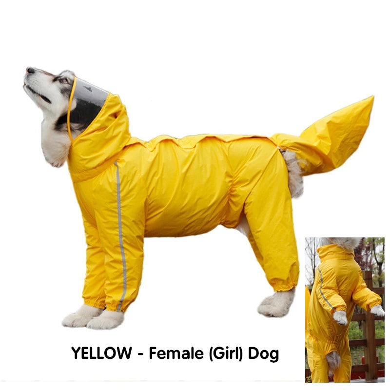 Imperméable pour Chien - Manteau de Pluie à Capuche
