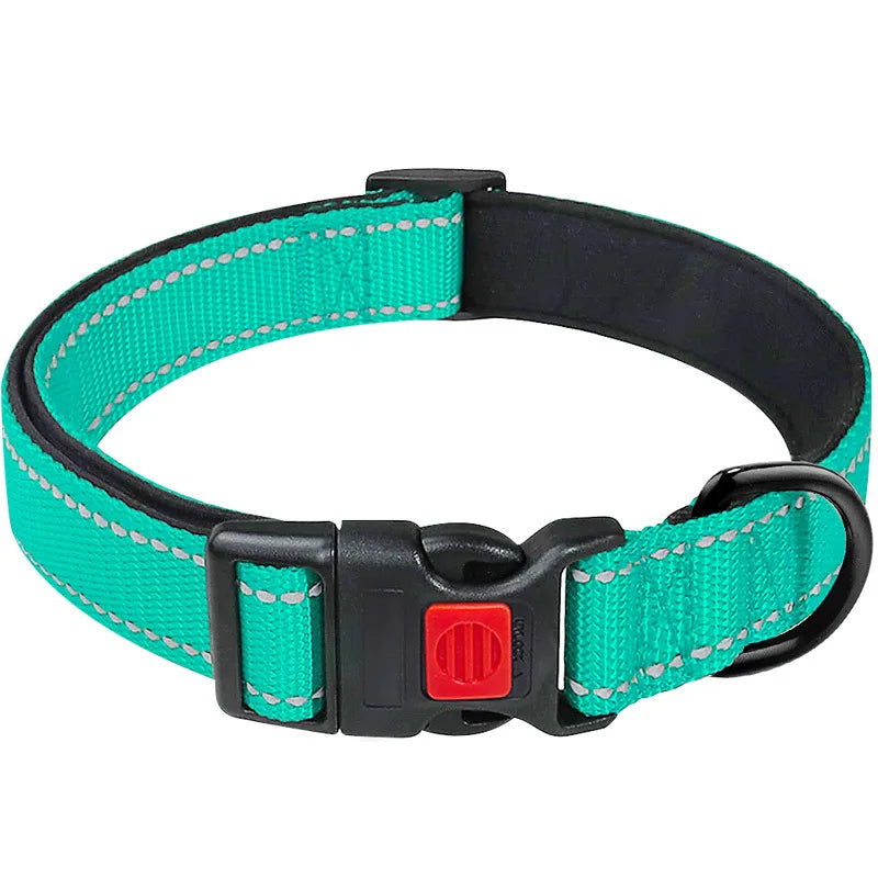 Collier Réfléchissant Néoprène pour Chien