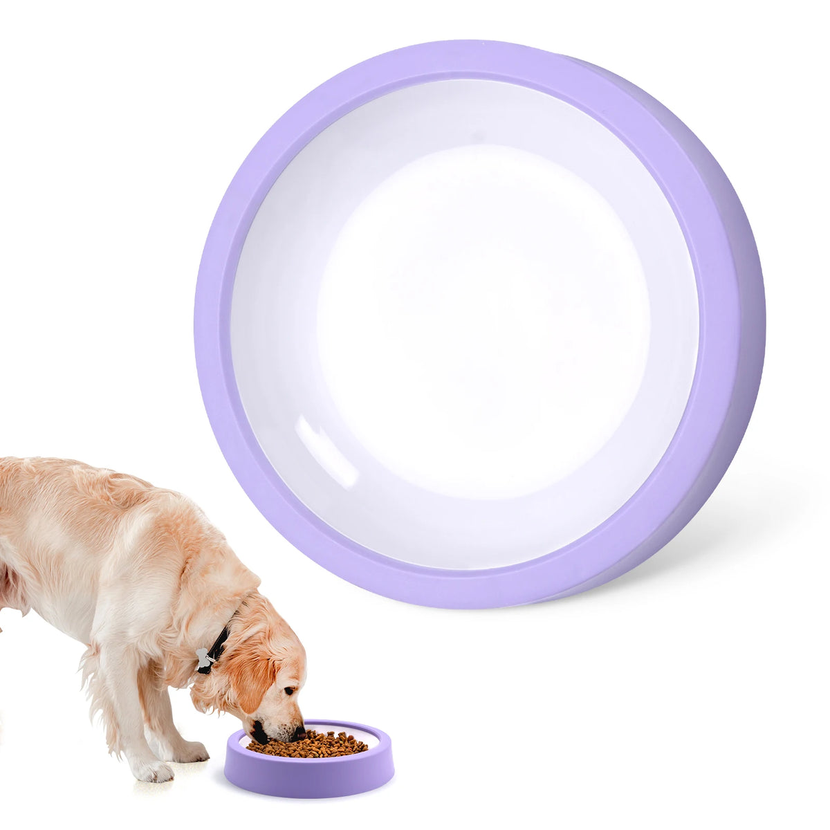 Gamelle Anti-Glouton Ludique pour Chien - Antidérapante