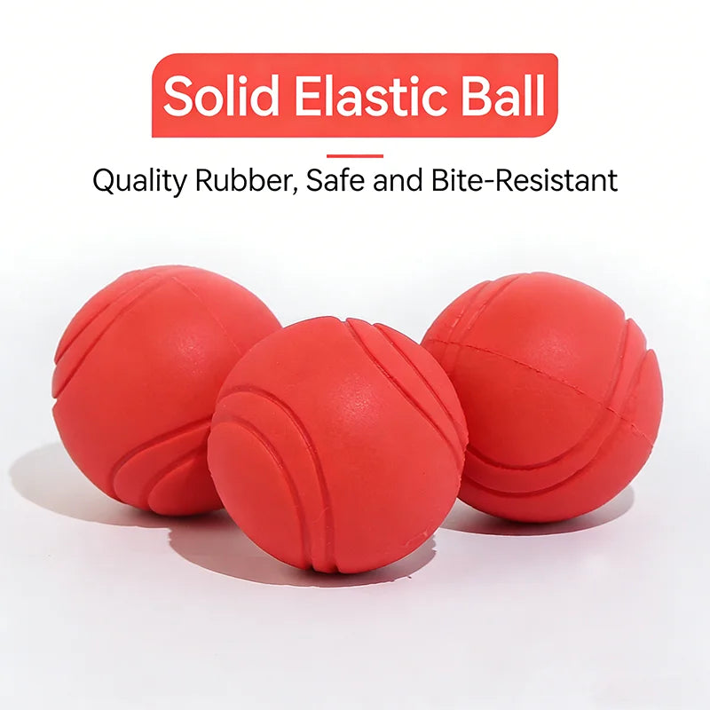 Balle Rebondissante Indestructible pour Chien