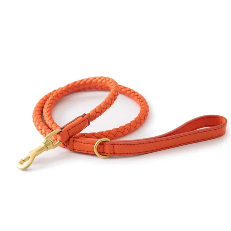Collier en Cuir Fashion pour Chien Moyen