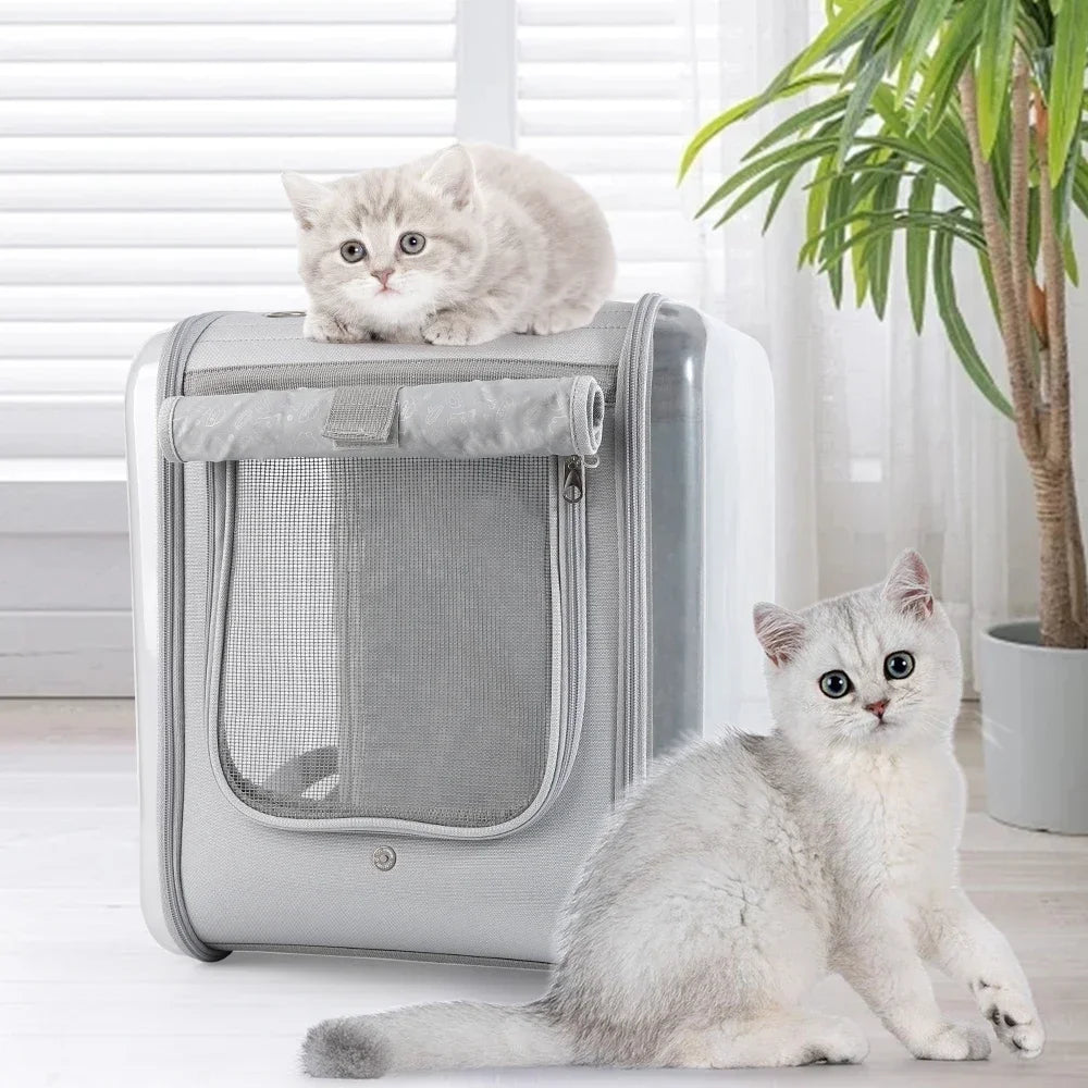 Sac à Dos de Transport pour Chat et Chien - Grande Capacité