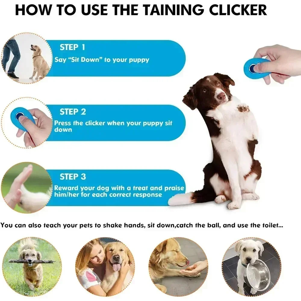 Clicker de Dressage Léger